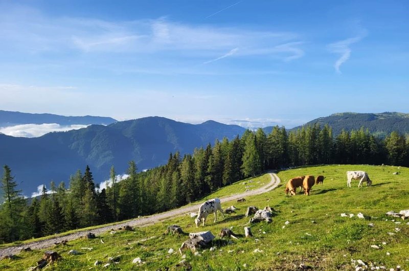KS Alpe - Ojstrica